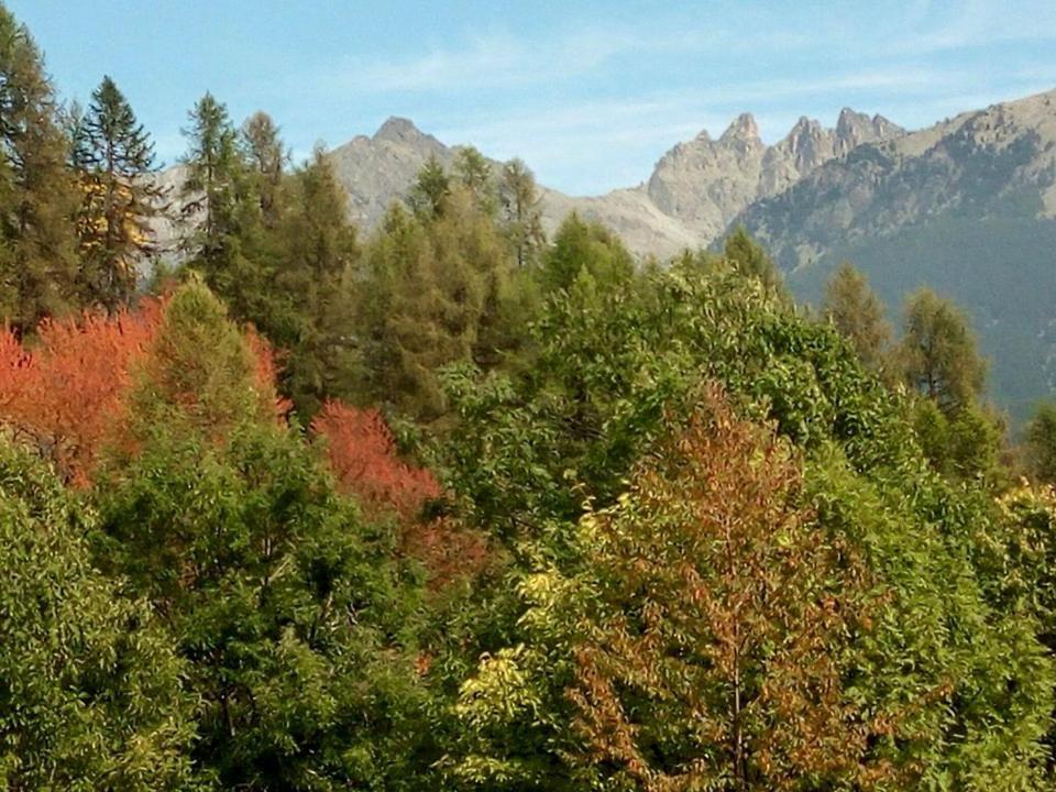 B & B La Guiette Кастельдельфино Экстерьер фото